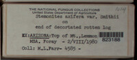 Image Associated With the Occurence